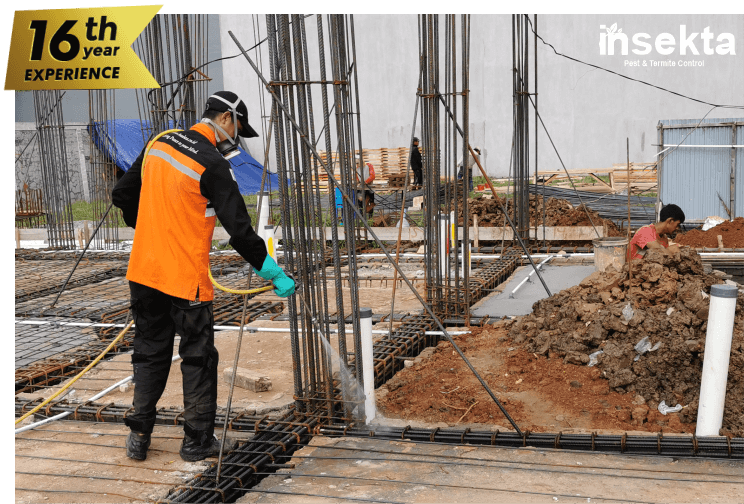 anti rayap spraying insekta